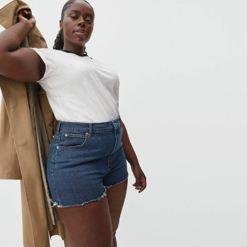 Everlane The Way High Dark Blue Denim Shorts 29